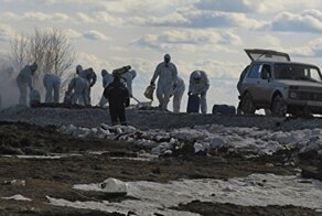 В центре Тобольска размыт скотомогильник с сибирской язвой