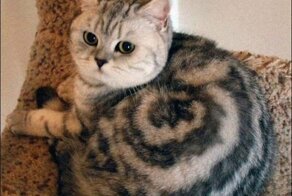 С добрым утром!