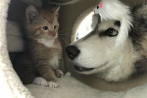 С добрым утром!