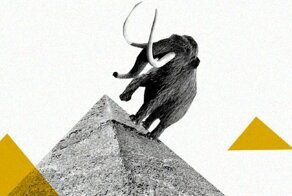 40 фактов, которые вас удивят