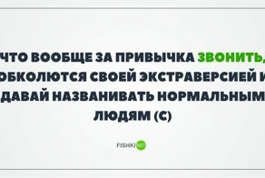 И даже не стыдно: интровертам посвящается