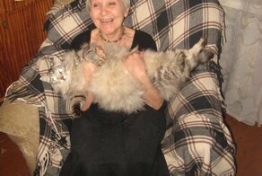 "Я не художница, я рисующий читатель" – к 80-летию Евгении Стерлиговой