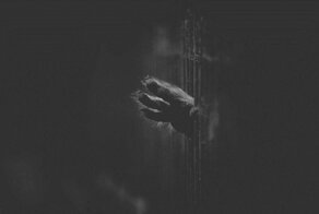 Зоопарк в Дакке - тюрьма для животных
