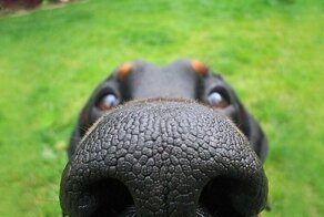 С добрым утром!