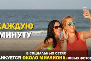 1 минута из жизни мира: что происходит пока вы зеваете или смотрите картинки