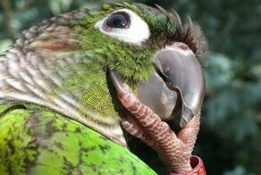 С добрым утром!