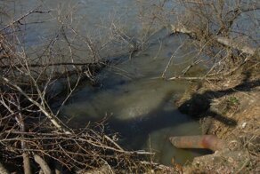 Подмосковный город восемь лет сливает канализацию в речку – дерьмо течет в Волгу