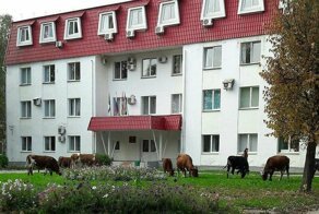 На Урале откроют «штрафстоянку» для бродячих коров