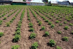 Поступок, достойный уважения