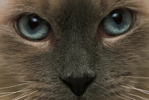 С добрым утром!