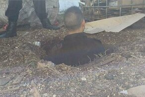 Пытавшиеся сбежать заключённые случайно прорыли тоннель к сторожевым собакам