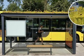 В Нидерландах установили автобусные остановки с растениями на крыше для пчел и шмелей