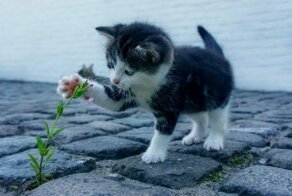 С добрым утром!