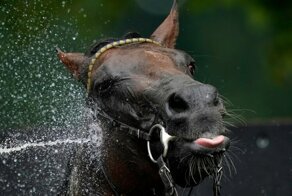 С добрым утром!