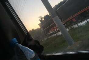 Железная дорога зовёт!