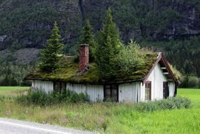 50 фотографий природы, выигравшей битву против цивилизации