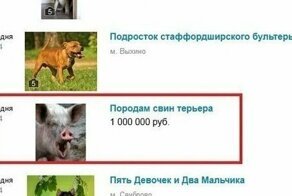 Убойные объявления с Авито, над которыми вы будете смеяться до слез