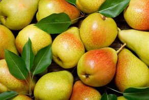Кому и из-за чего нельзя есть груши?