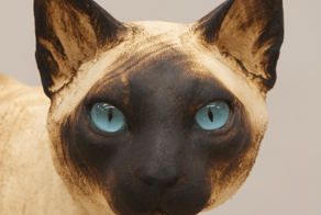 Художник делает невероятно реалистичные скульптуры домашних питомцев из дерева