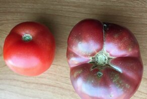 23 раза, когда кто-то взялся сравнивать несравнимое - и сам не верит результату