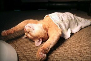 С добрым утром!