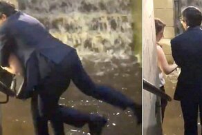 А теперь покатай меня, большая черепаха!