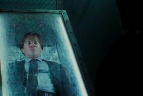 Жителей Богородского городского округа разрешили хоронить в стеклянных гробах