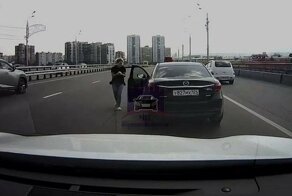 Доброе видео: женщина спасла котёнка, сидящего на проезжей части моста