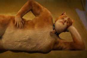 Трейлер к экранизации мюзикла "Кошки" стал объектом насмешек для пользователей Сети