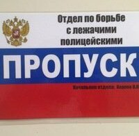 Отдел по борьбе с понтами и жирными телками в лосинах: 15 забавных пропусков на авто