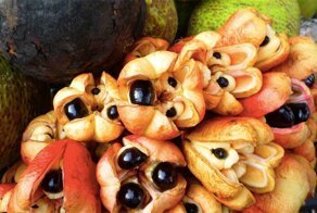 10 экзотических фруктов, о которых вы, может быть, даже не подозревали