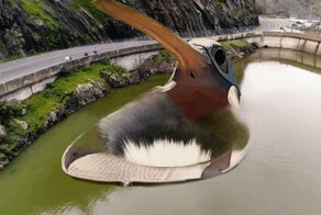В сети делают фотопародии на пеликана, который так разинул свой клюв, что чуть не поглотил весь мир