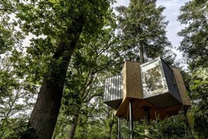 Датский отель на дереве ждет первых постояльцев