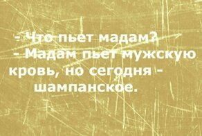NeFормат