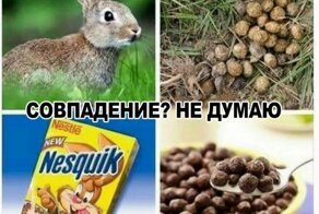 17 удивительных совпадений, которые случились в нужное время и в нужном месте