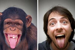 Как советский биолог пытался скрестить человека и обезьяну, и что из этого вышло