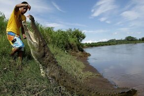 Утренняя коллекция фотографий со всего мира за 23.07.2019