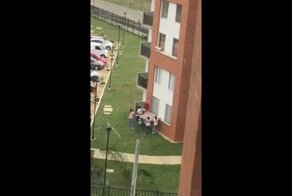 Спасение собаки с неожиданным финалом