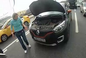 Доброе видео: спасение котенка на оживленном шоссе в Москве