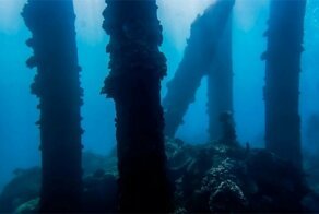 На дне Балтийского моря обнаружили "затерянный мир"