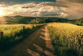 Утренняя коллекция фотографий со всего мира за 24.07.2019
