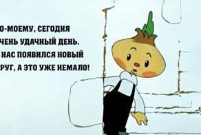 Правила жизни Чиполлино