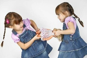 Почему ребенок не делится игрушками?