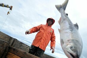 Убивайте их: в Норвегии пожаловались на вторжение «русских лососей»