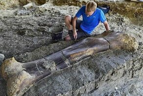 Ученые нашли 2-метровую бедренную кость весом полтонны, принадлежавшую гигантскому динозавру