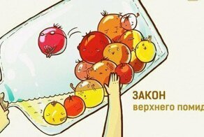 30 ироничных законов жизни