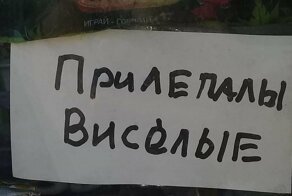 17 забавных фото, которые могли сделать только в киоске