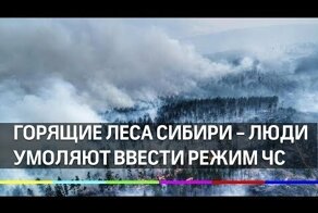 Горящие леса Сибири - люди умоляют ввести режим ЧС с помощью петиции