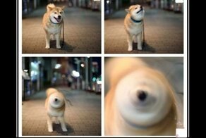 Смешные демотиваторы для тех, кто устал от работы