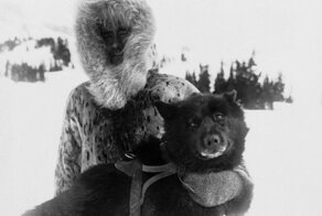 Собаки-Легенды